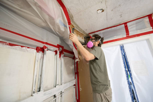 Best Mold Odor Removal Services  in Nice, CA